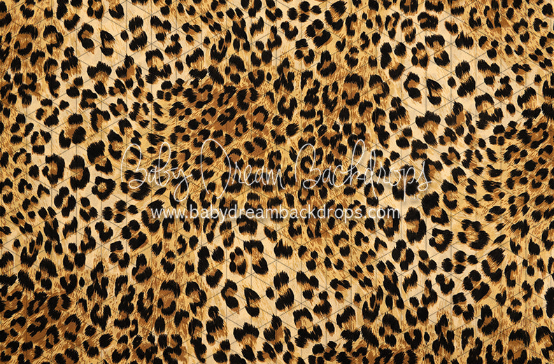Leopard Love (CC)