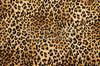 Leopard Love (CC)