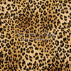 Leopard Love (CC)