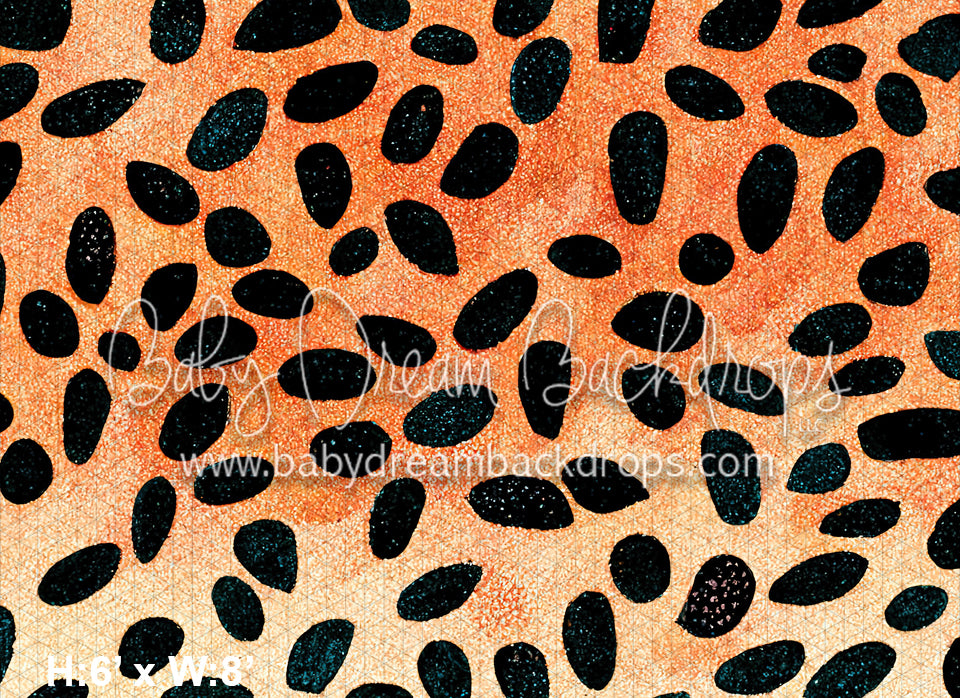 Leopards are Fun (MD)