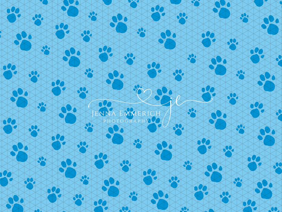 Let's Find Dog Clues