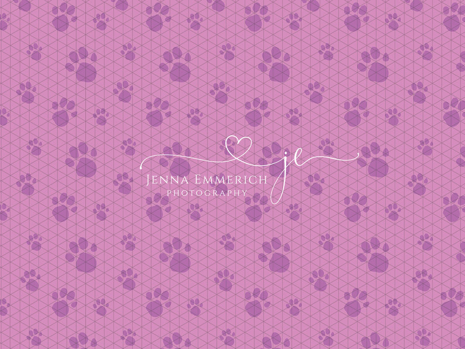 Let's Find Dog Clues (Pink)