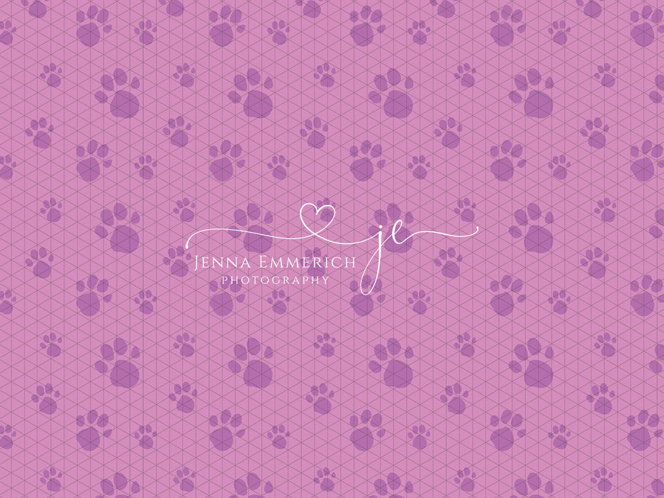 Let's Find Dog Clues (Pink)