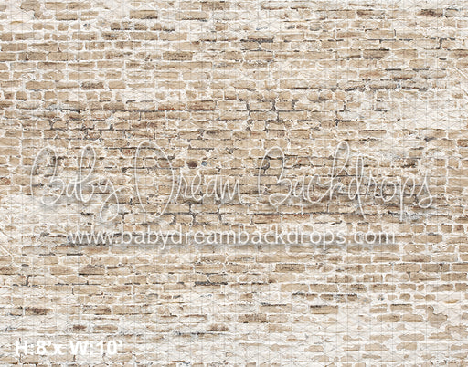 Light and Airy Brick Series (VR)