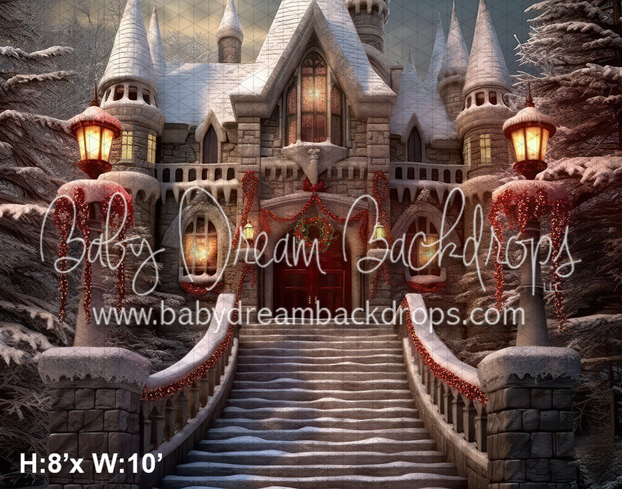 Lighted Home Christmas (BD)