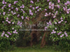 Lilac Love Path (CC)