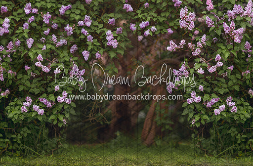 Lilac Love Path (CC)