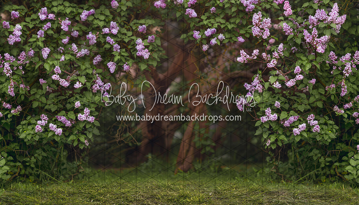 Lilac Love Path (CC)