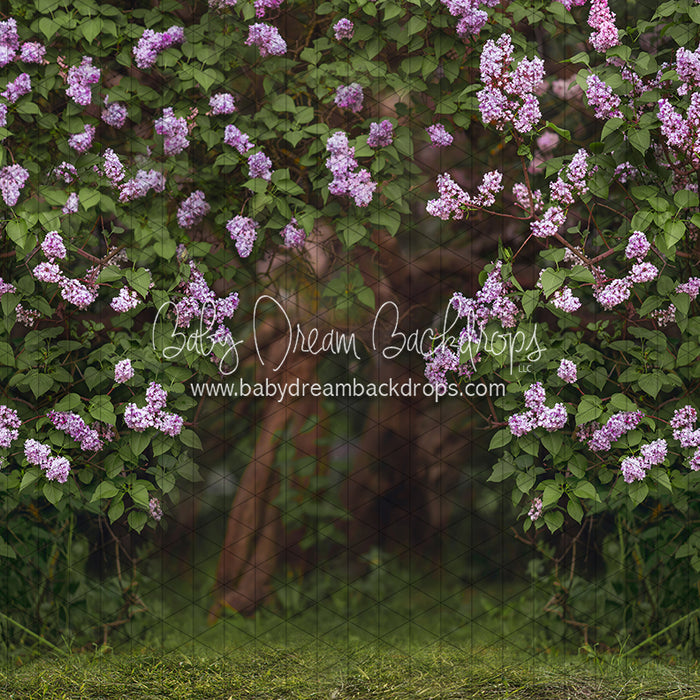 Lilac Love Path (CC)