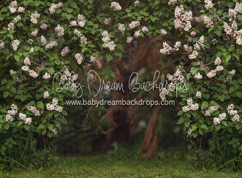 Lilac Love Path Light (CC)