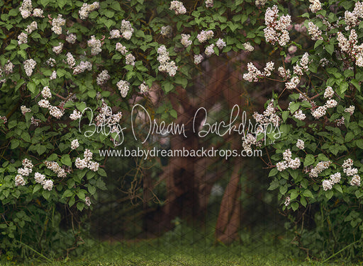 Lilac Love Path Light (CC)