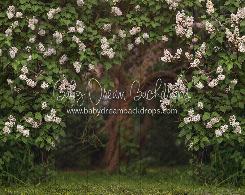 Lilac Love Path Light (CC)