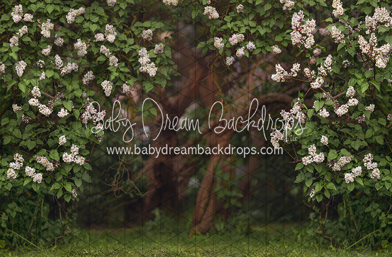 Lilac Love Path Light (CC)