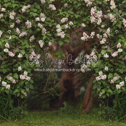 Lilac Love Path Light (CC)