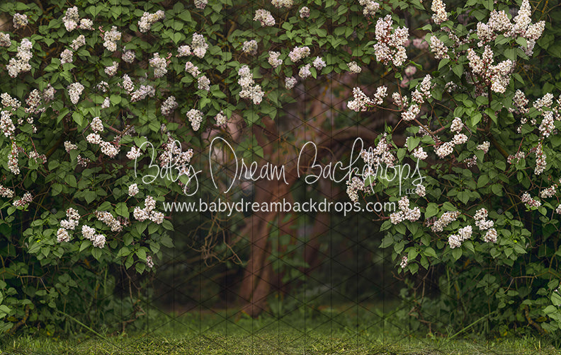 Lilac Love Path Light (CC)