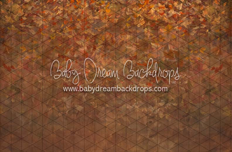 Little Red School House Floor