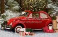Love Bug Christmas Snow (BS)