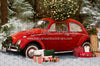 Love Bug Christmas Snow (BS)