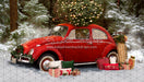 Love Bug Christmas Snow (BS)