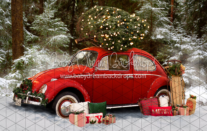 Love Bug Christmas Snow (BS)