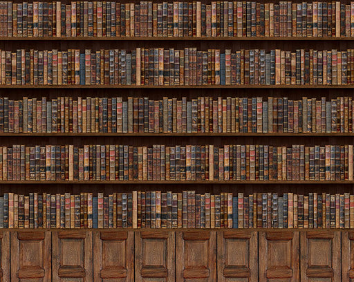 Love of Old Books - 8x10 