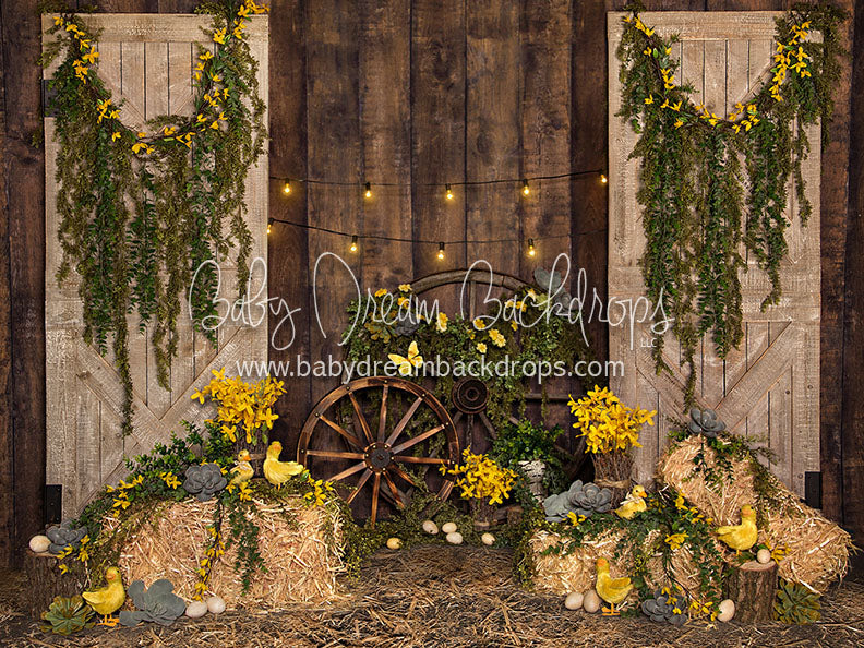 Lucky Ducks in Spring