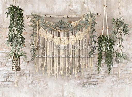 Macrame Wonder Plants