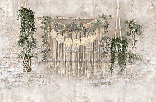 Macrame Wonder Plants