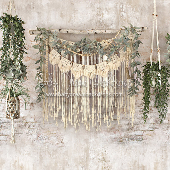 X Drop macrame wonder plants