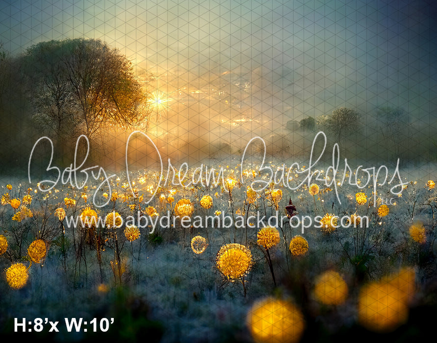 Magical Dandelion Field (SM)