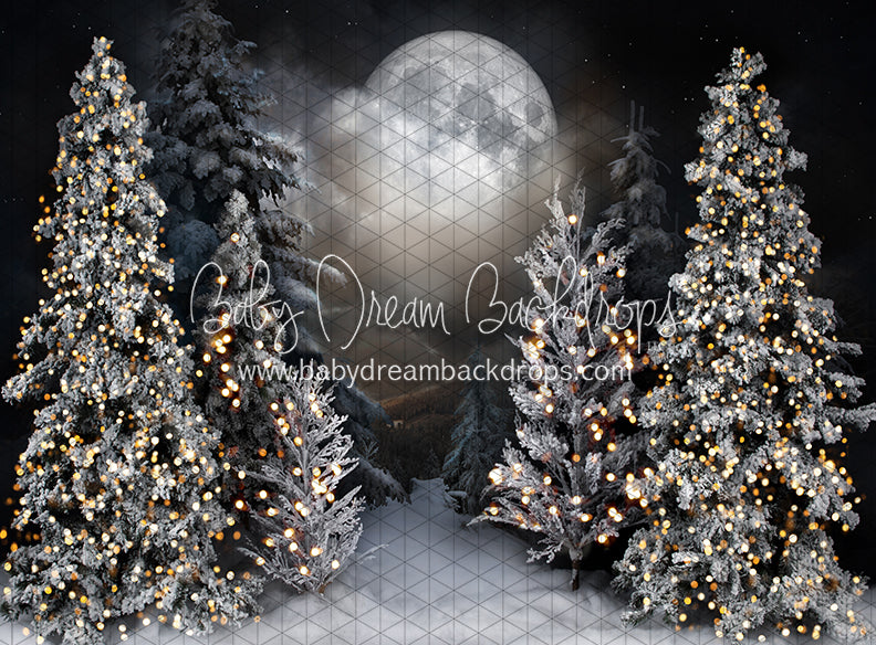 Magic in the Moonlight (JA)