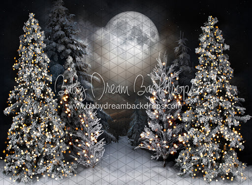 Magic in the Moonlight (JA)