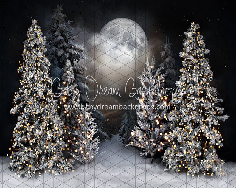 Magic in the Moonlight (JA)