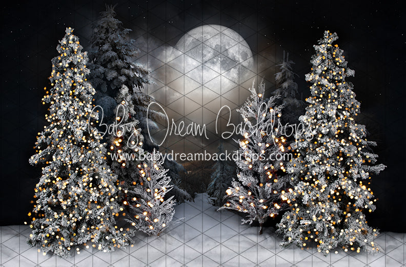 Magic in the Moonlight (JA)