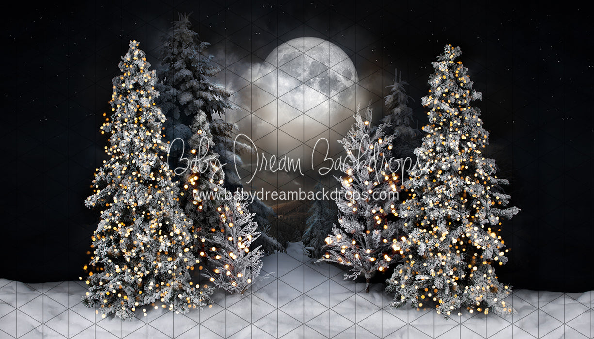 Magic in the Moonlight (JA)