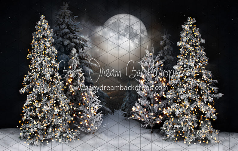 Magic in the Moonlight (JA)