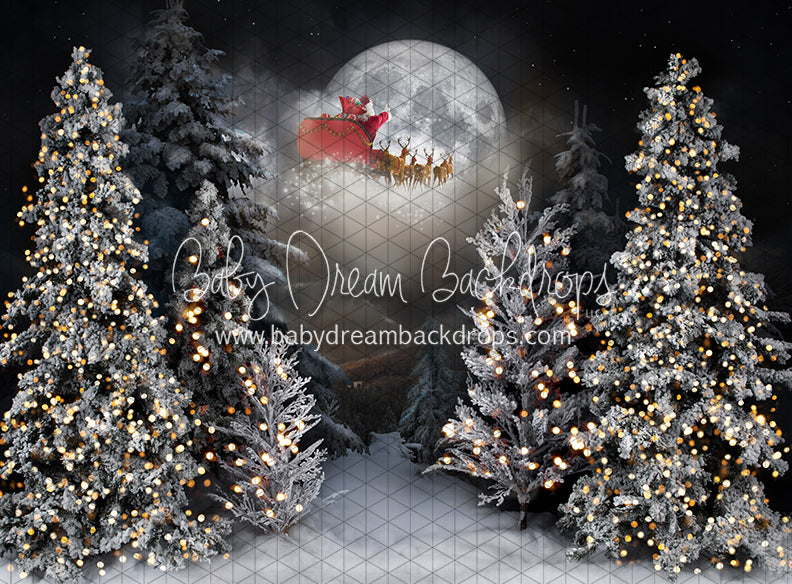 Magic in the Moonlight Santa (JA)