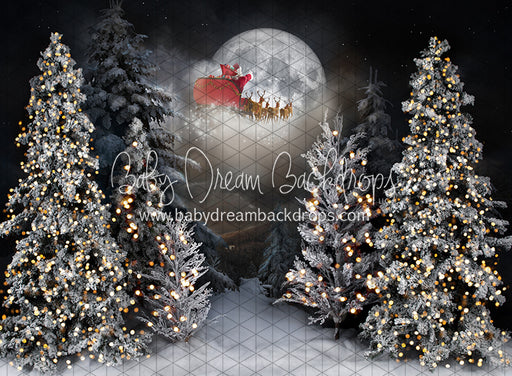 Magic in the Moonlight Santa (JA)