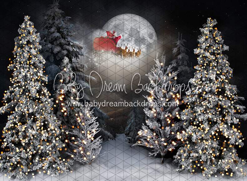 Magic in the Moonlight Santa (JA)