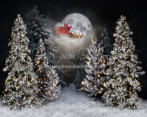 Magic in the Moonlight Santa (JA)