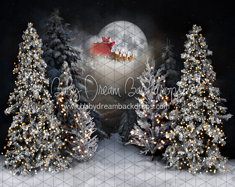 Magic in the Moonlight Santa (JA)