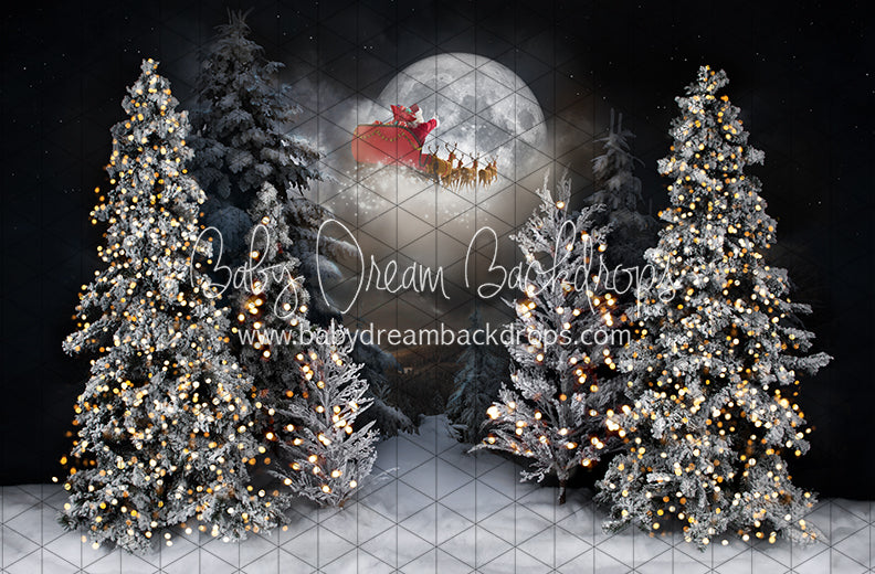 Magic in the Moonlight Santa (JA)
