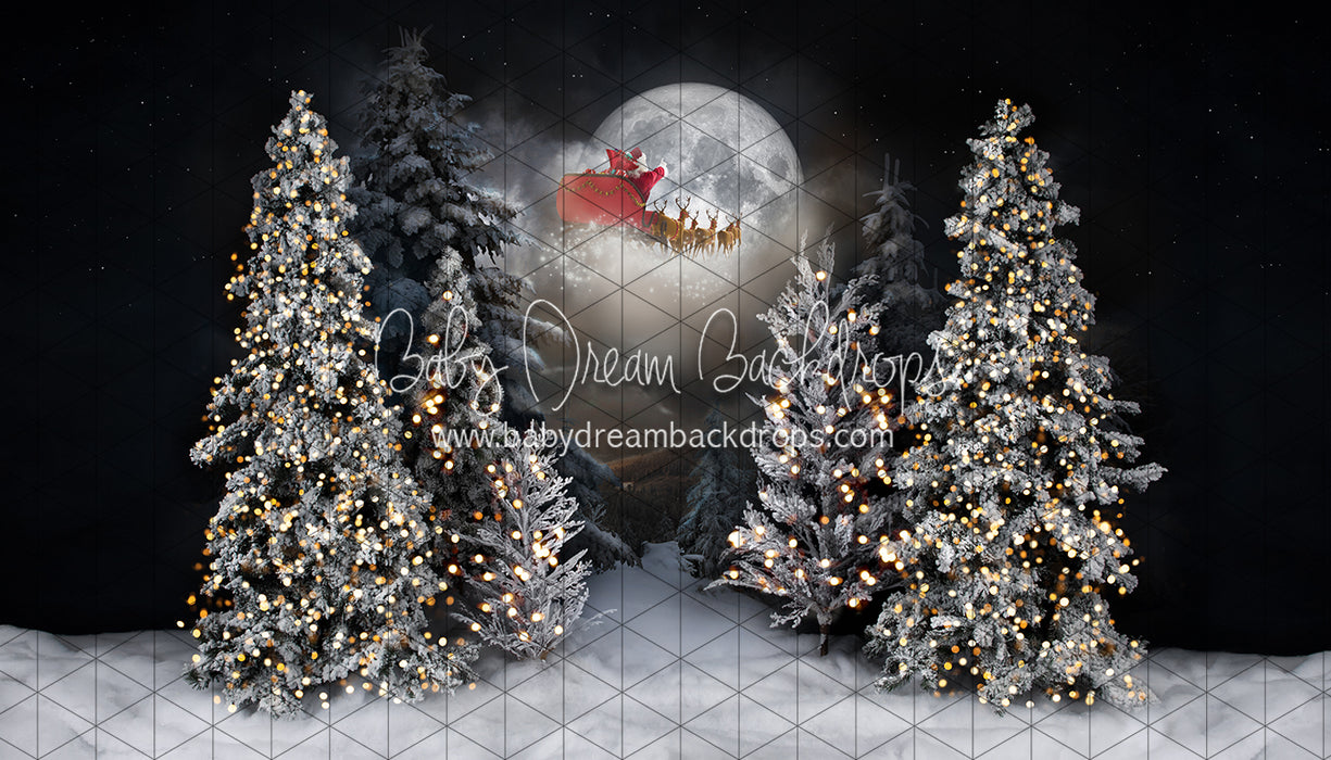 Magic in the Moonlight Santa (JA)