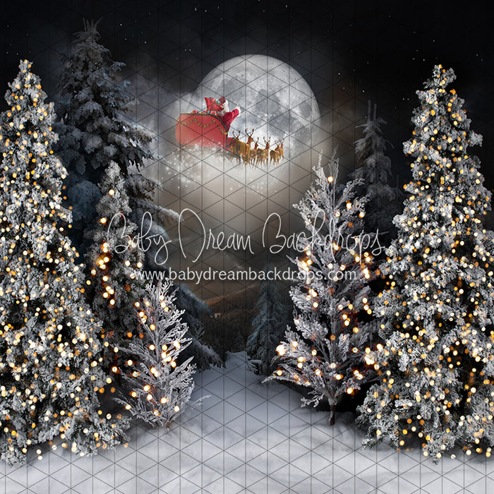 Magic in the Moonlight Santa (JA)
