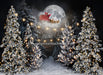 Magic in the Moonlight Santa and String Lights (JA)
