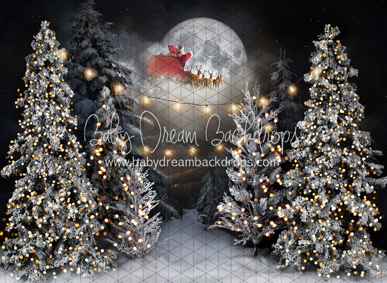 Magic in the Moonlight Santa and String Lights (JA)