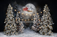 Magic in the Moonlight Santa and String Lights (JA)