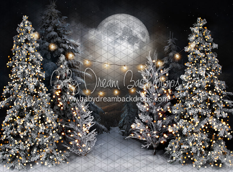 Magic in the Moonlight with String Lights (JA)