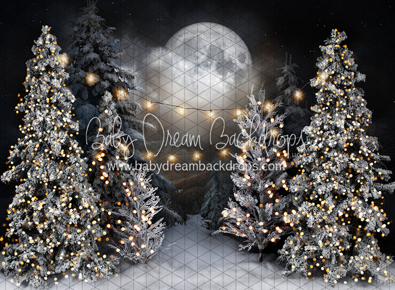 Magic in the Moonlight with String Lights (JA)