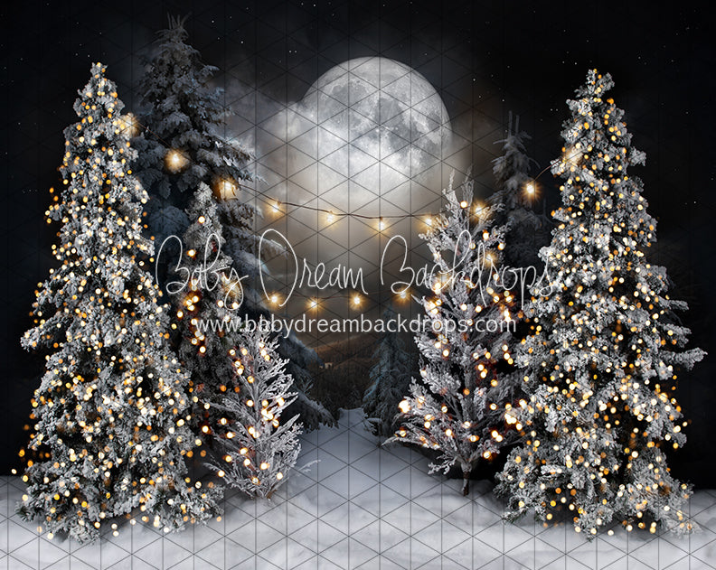 Magic in the Moonlight with String Lights (JA)